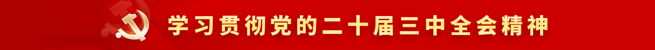 学习贯彻党的二十届三中全会精神